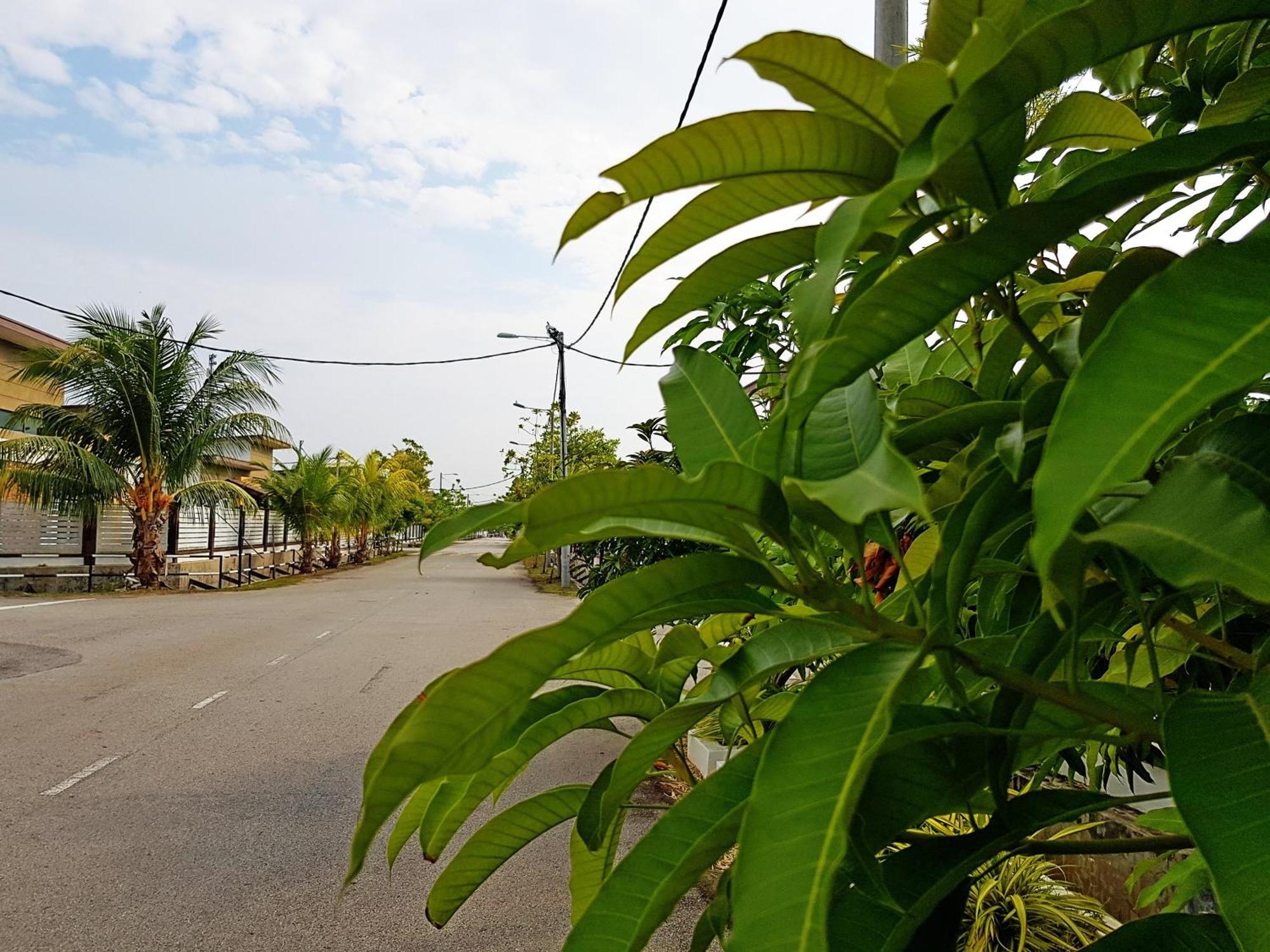 Siantan In Paya Rumput Near Std Hang Jebat, Sg Udang & Uitm Lendu Malacca Eksteriør billede